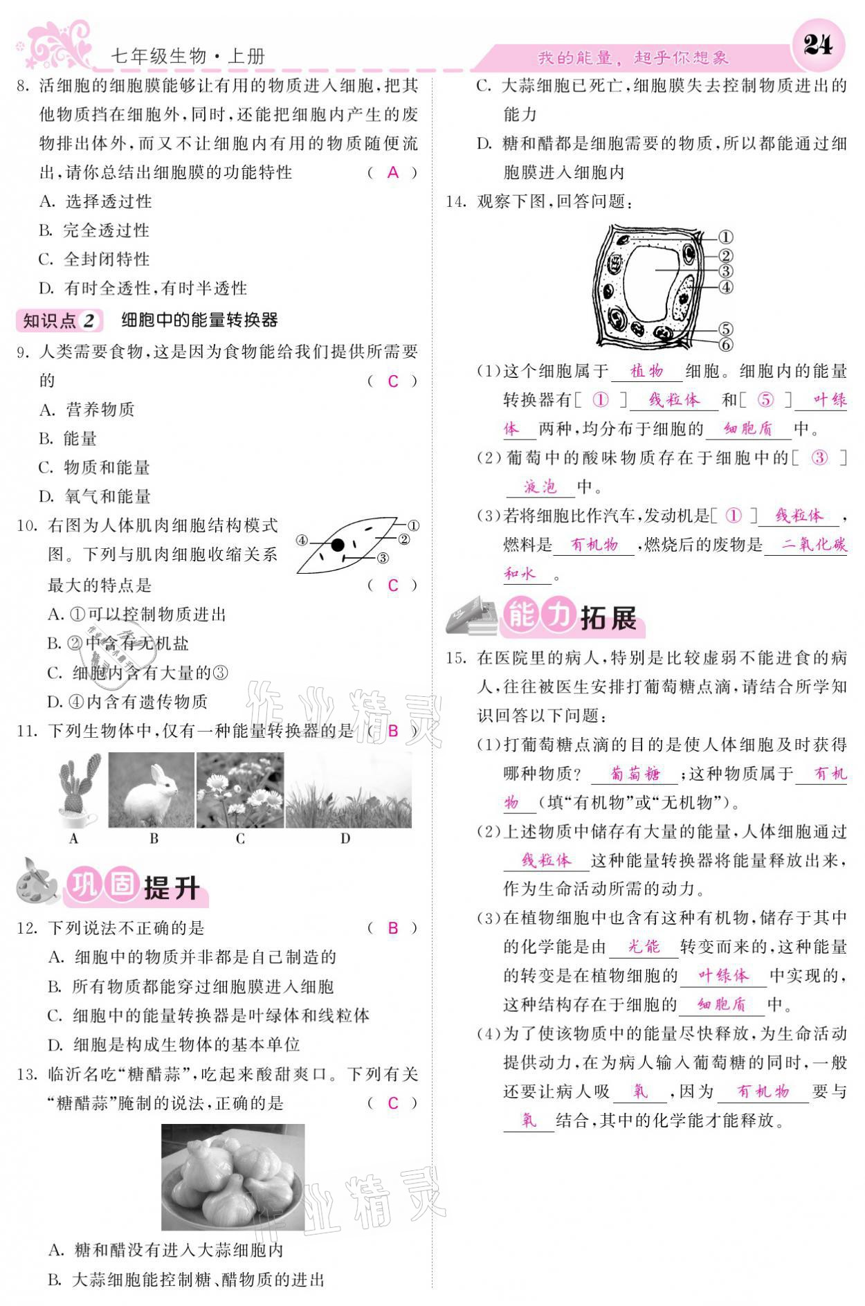 2021年課堂點睛七年級生物上冊人教版寧夏專版 參考答案第24頁