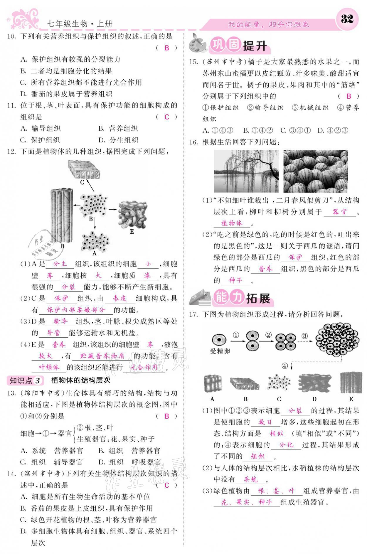 2021年課堂點睛七年級生物上冊人教版寧夏專版 參考答案第32頁