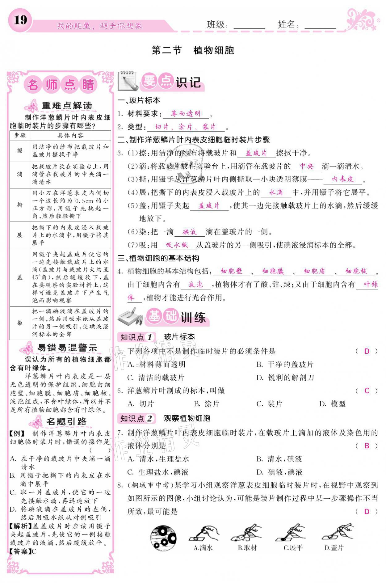 2021年課堂點(diǎn)睛七年級(jí)生物上冊(cè)人教版寧夏專版 參考答案第19頁