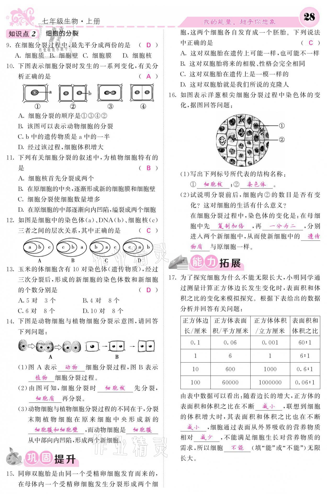 2021年課堂點睛七年級生物上冊人教版寧夏專版 參考答案第28頁