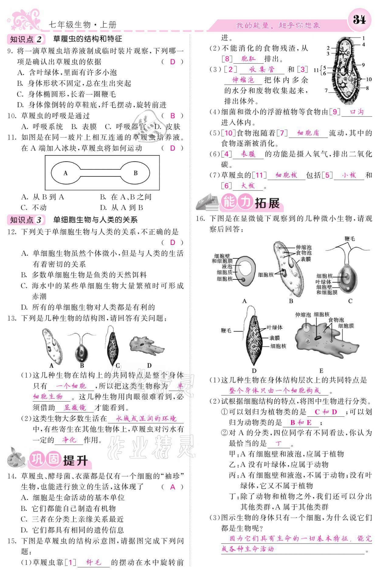 2021年課堂點(diǎn)睛七年級(jí)生物上冊(cè)人教版寧夏專版 參考答案第34頁(yè)