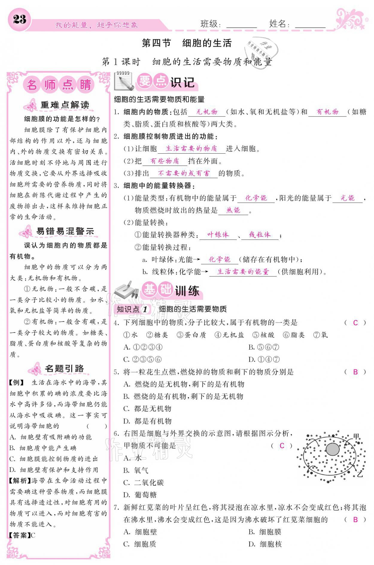 2021年課堂點(diǎn)睛七年級生物上冊人教版寧夏專版 參考答案第23頁