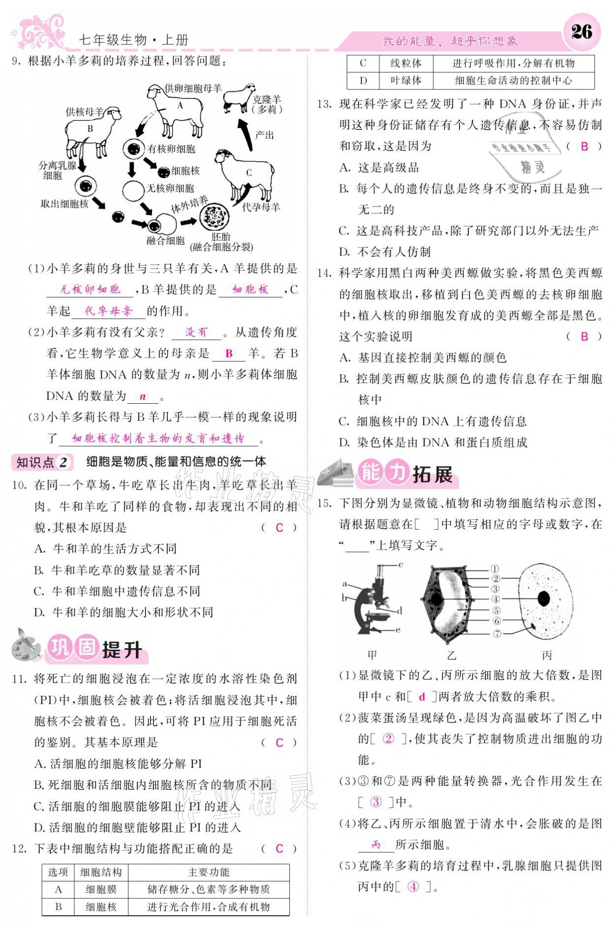 2021年課堂點睛七年級生物上冊人教版寧夏專版 參考答案第26頁