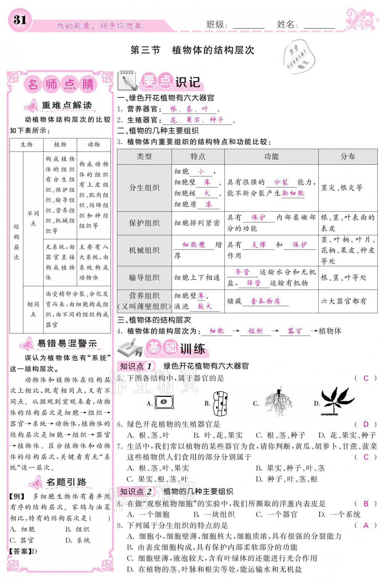 2021年課堂點(diǎn)睛七年級(jí)生物上冊(cè)人教版寧夏專(zhuān)版 參考答案第31頁(yè)