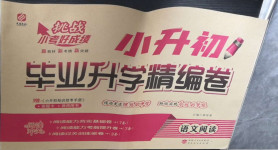 2021年小升初畢業升學精編卷語文閱讀