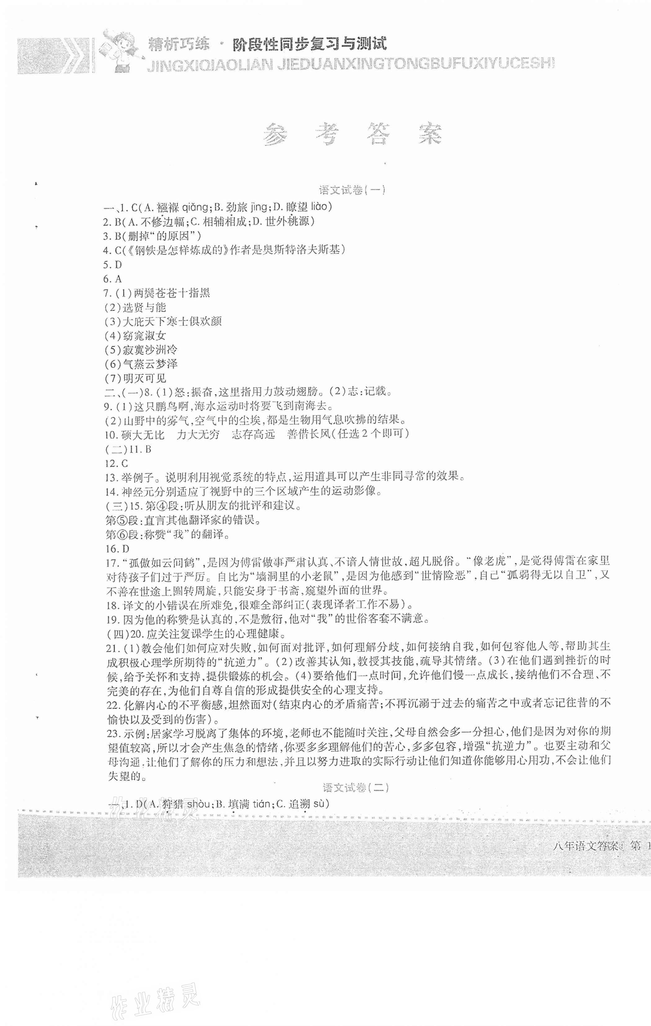 2021年精析巧練階段性同步復(fù)習(xí)與測試八年級語文下冊人教版五四制B版 第1頁