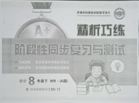 2021年精析巧練階段性同步復(fù)習(xí)與測(cè)試八年級(jí)數(shù)學(xué)下冊(cè)人教版五四制A版