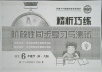 2021年精析巧練階段性同步復(fù)習(xí)與測試六年級語文下冊人教版