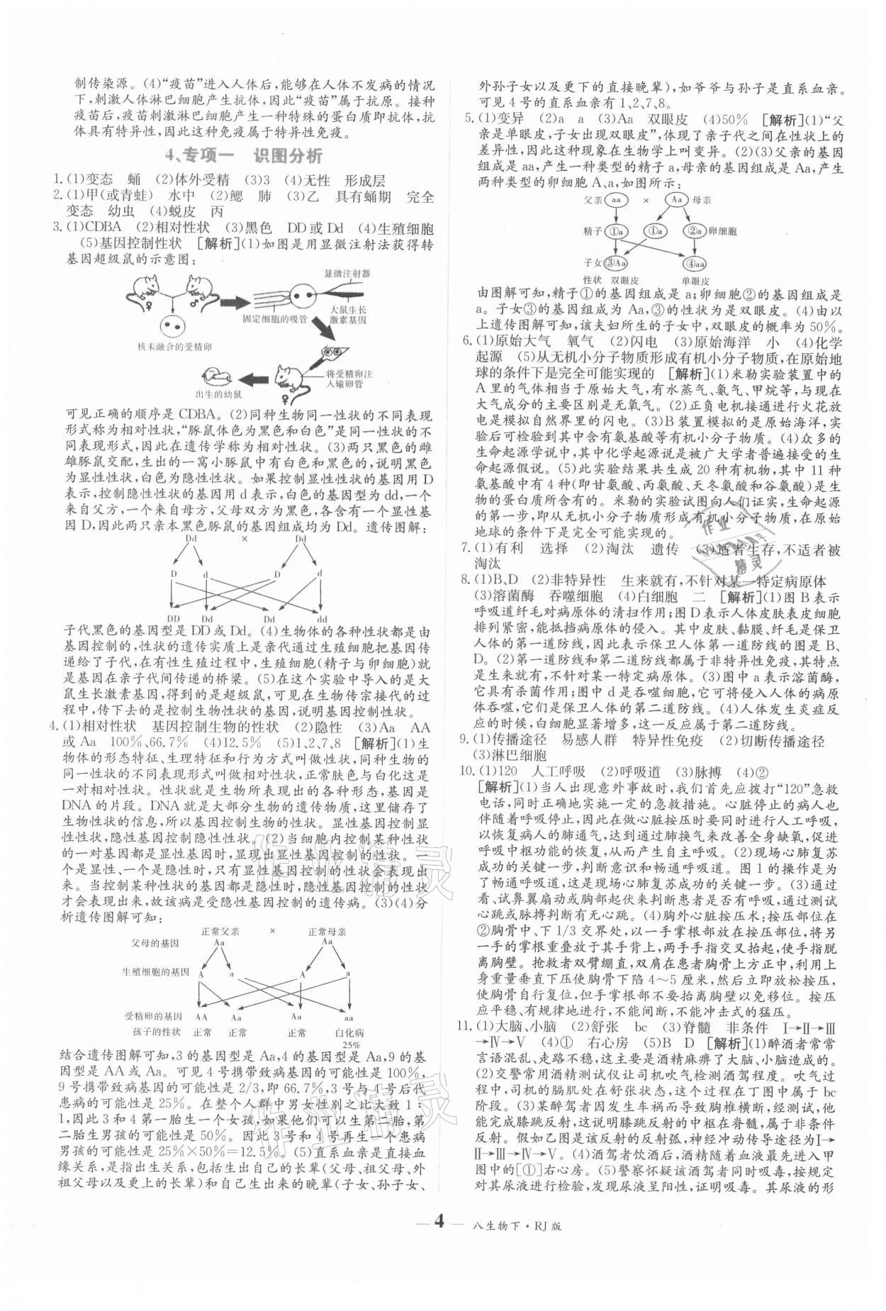 2021年核心期末八年級(jí)生物下冊(cè)人教版 第4頁(yè)