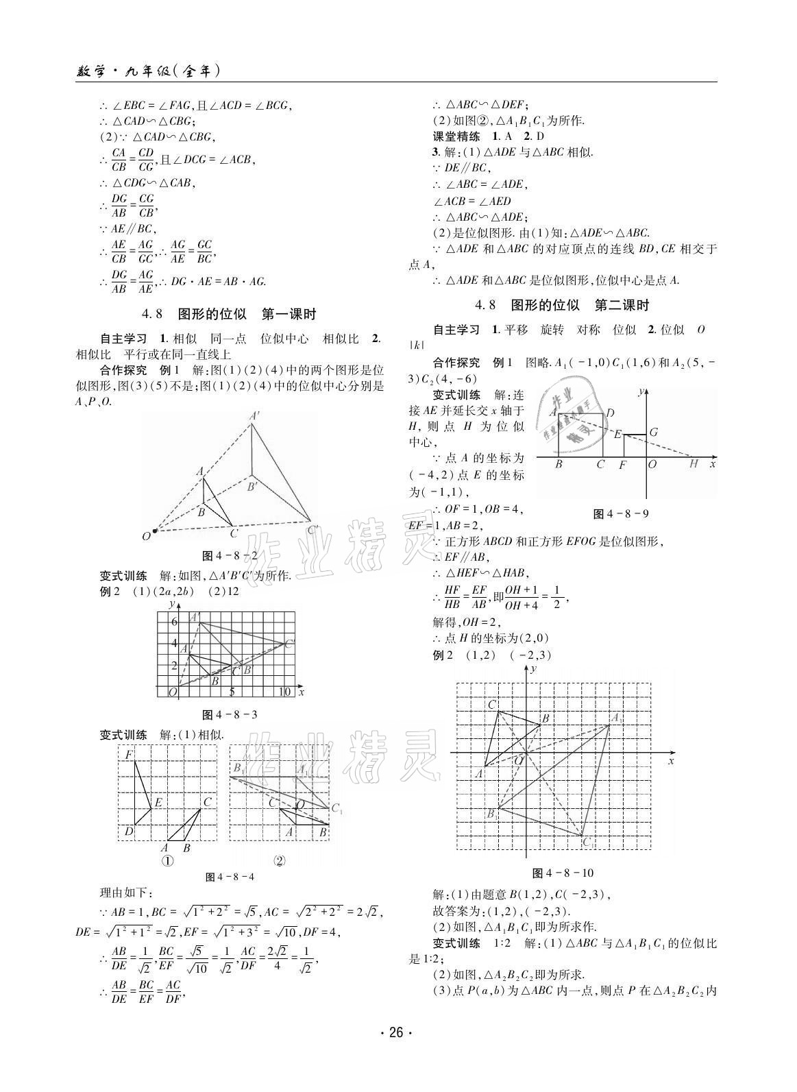 2021年理科愛好者九年級數(shù)學(xué)全一冊北師大版第11期 參考答案第25頁