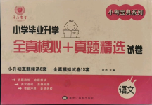 2021年小考寶典小學畢業升學總復習語文