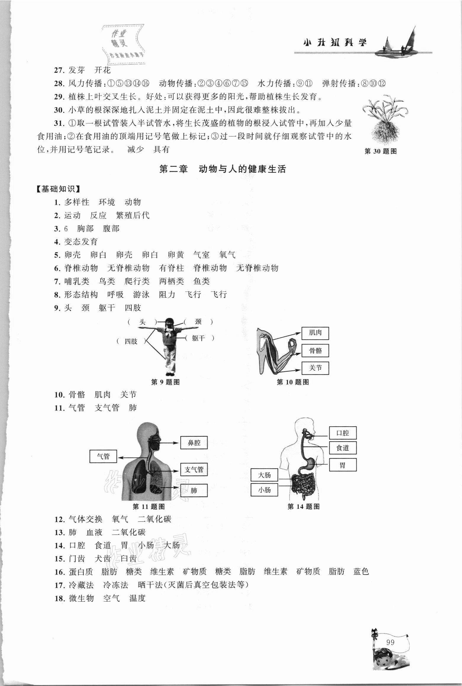 2021年暑假大串聯六年級科學教科版 參考答案第2頁