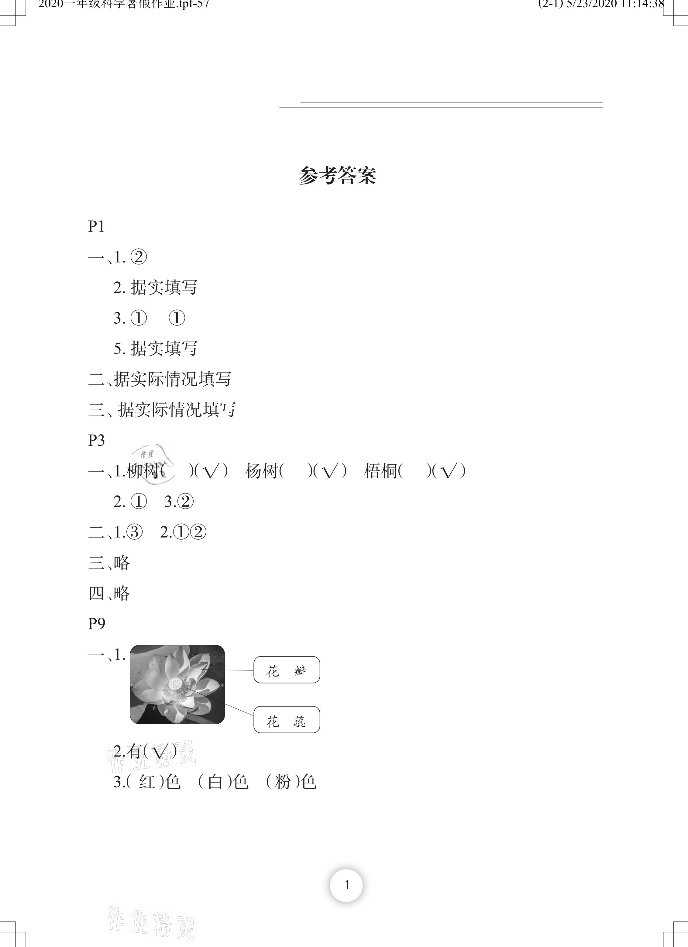 2021年暑假作业一年级科学长江少年儿童出版社 参考答案第1页