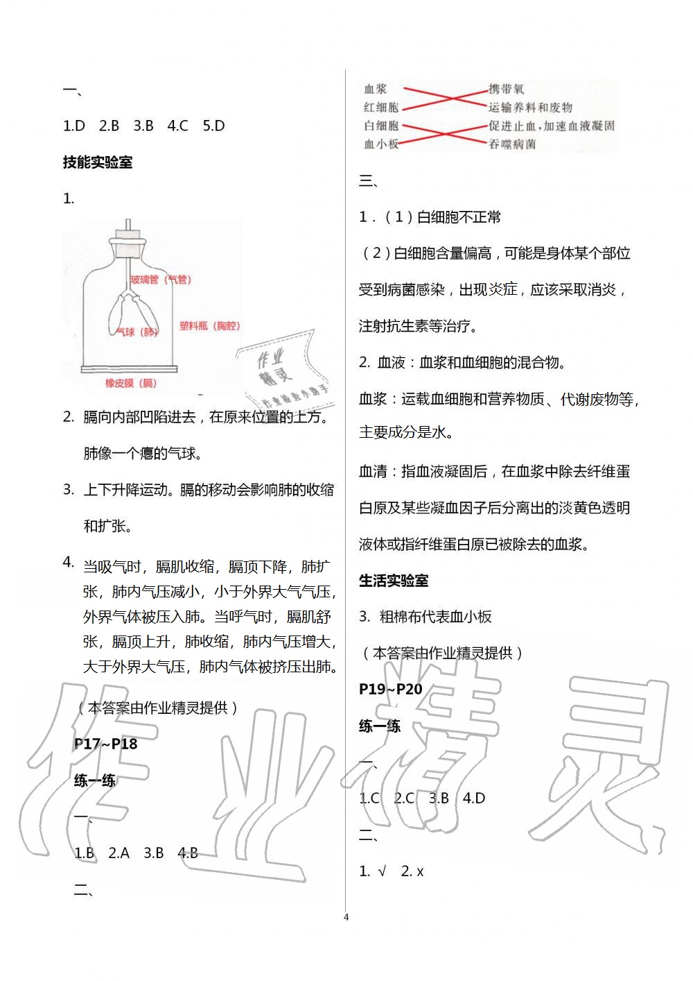 2021年新课堂暑假生活七年级生物人教版北京教育出版社 参考答案第4页