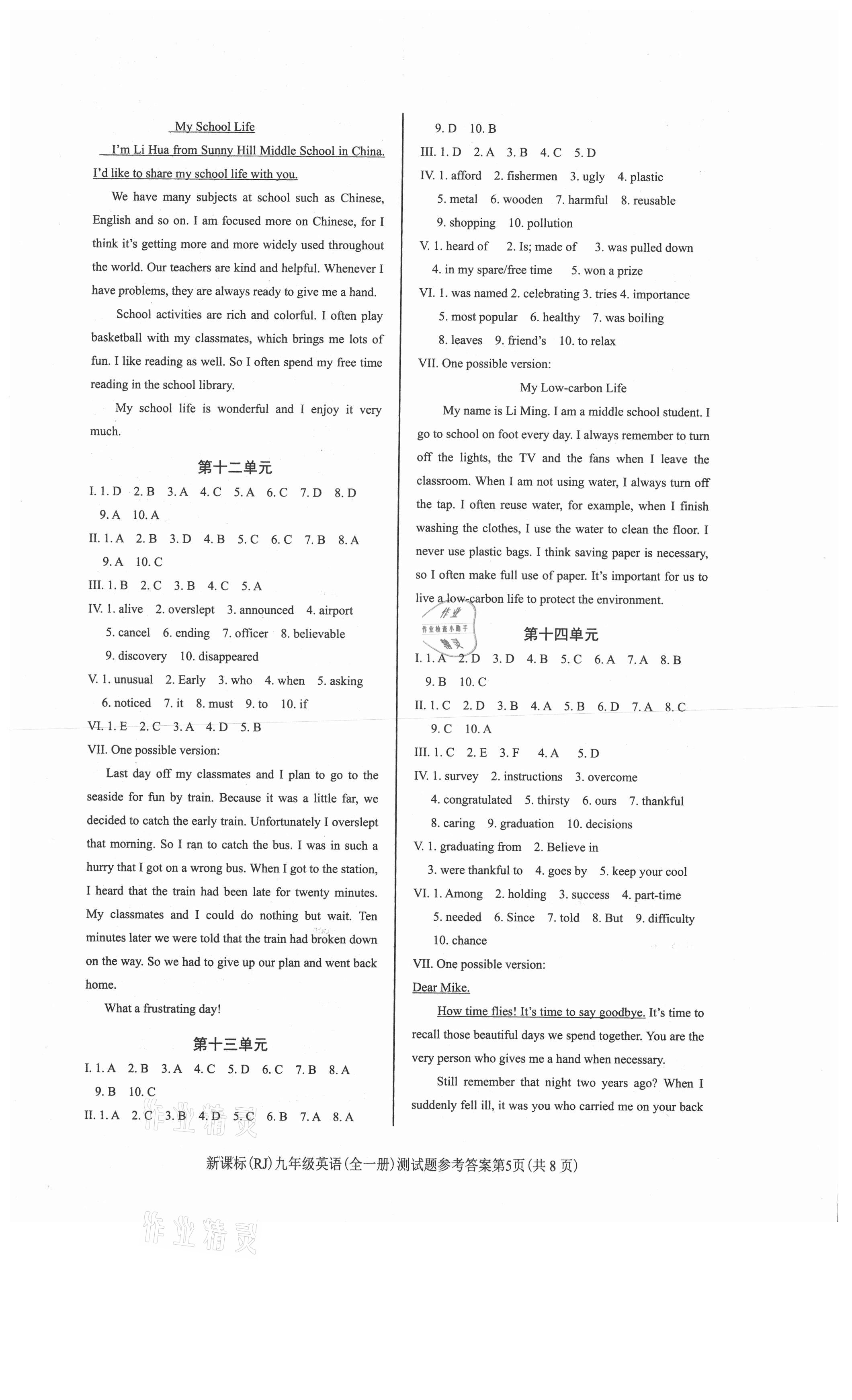 2021年學(xué)考2加1九年級英語全一冊人教版 第5頁