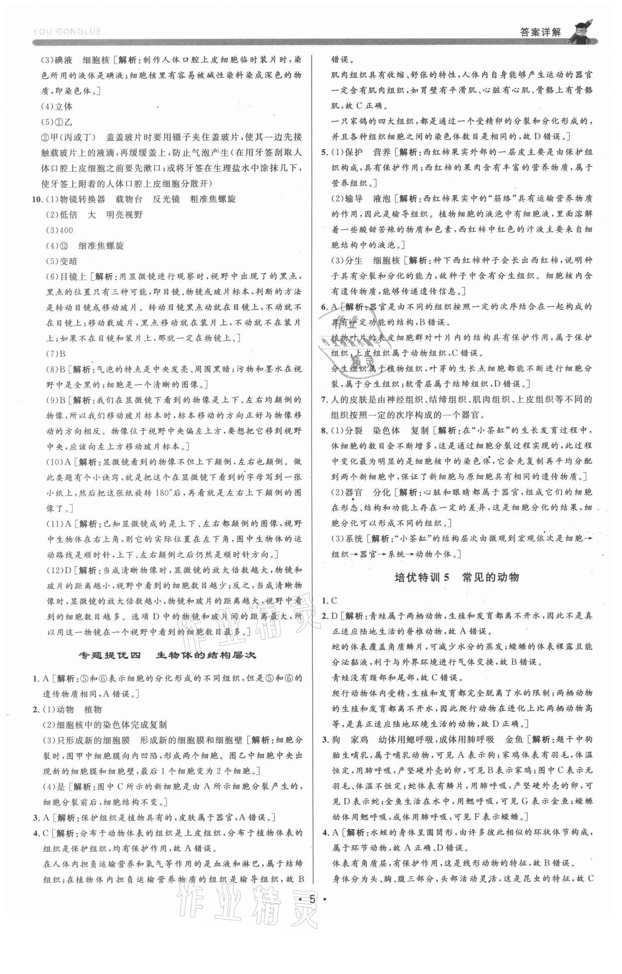 2021年優(yōu)加攻略七年級(jí)科學(xué)上冊(cè)浙教版 第5頁(yè)