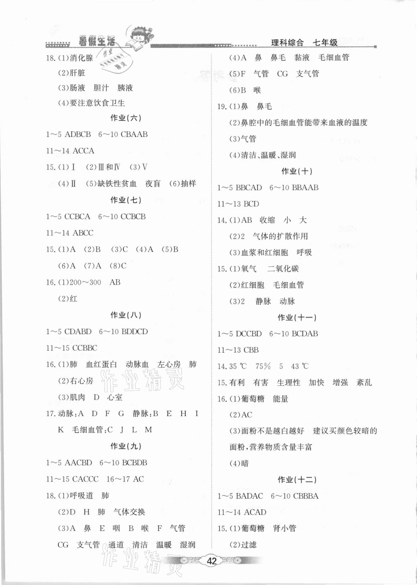 2021年系统集成暑假生活七年级理科综合学习与生活 第2页