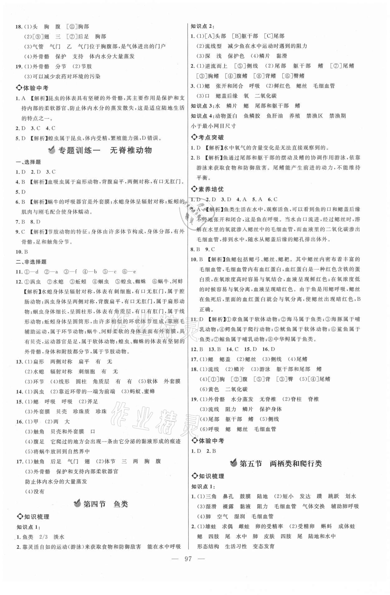 2021年細解巧練八年級生物上冊魯科版 參考答案第4頁