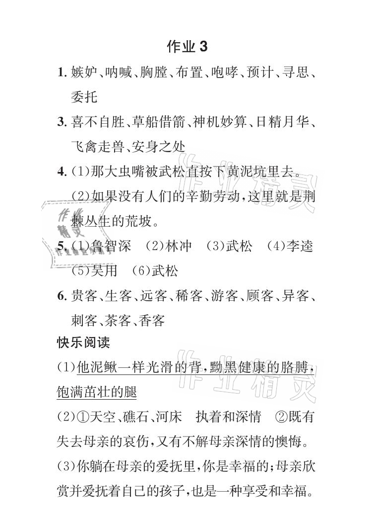 2021年長(zhǎng)江暑假作業(yè)五年級(jí)語文全一冊(cè)人教版崇文書局 參考答案第4頁