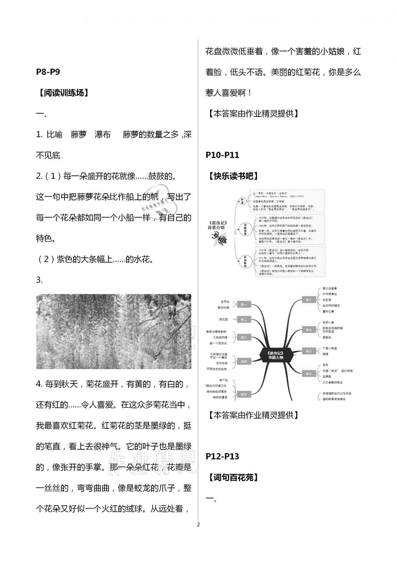 2021年暑假學(xué)習(xí)樂園三年級語文浙江科學(xué)技術(shù)出版社 參考答案第2頁