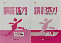 2021年精彩练习就练这一本九年级英语全一册人教版