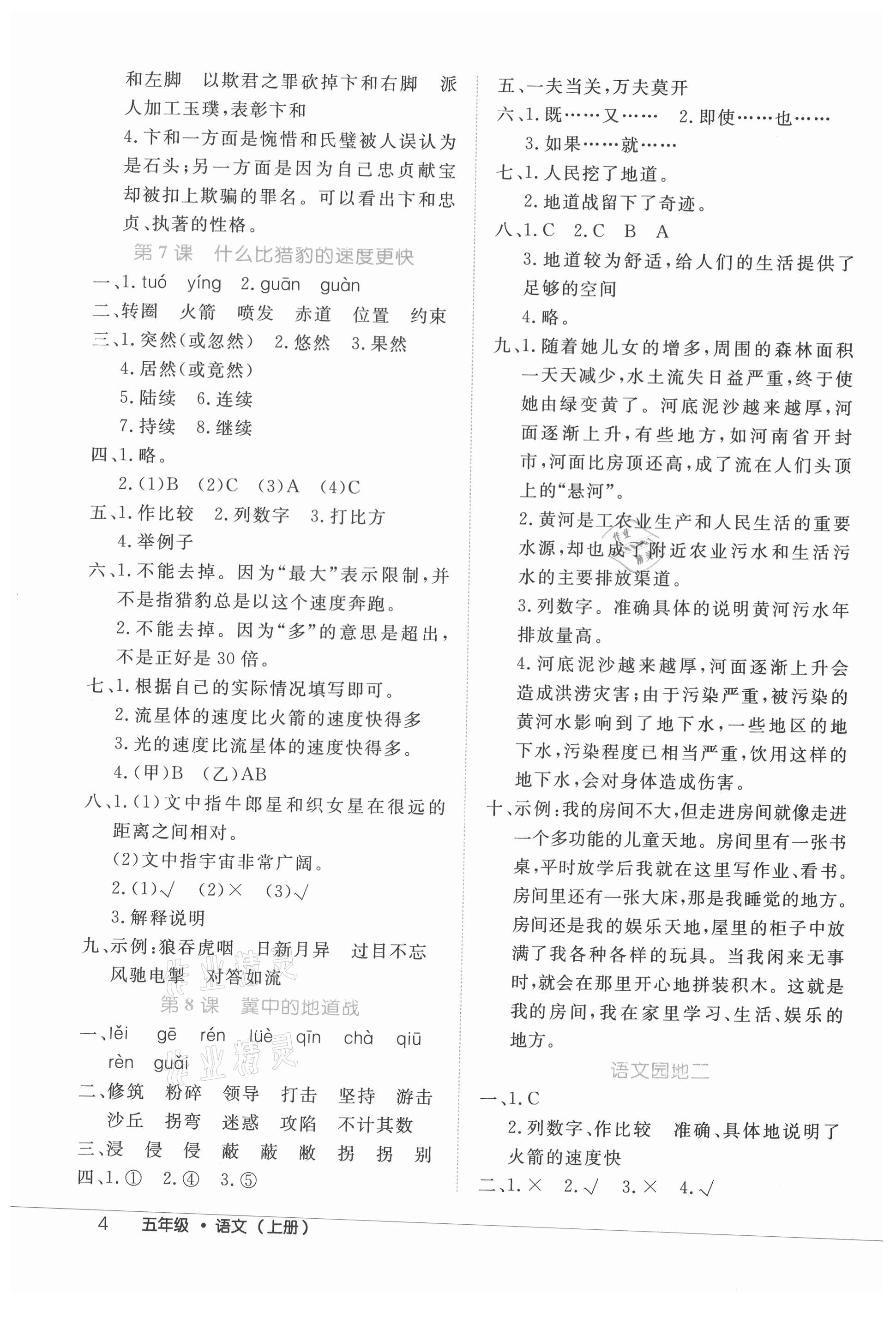 2021年细解巧练五年级语文上册人教版 参考答案第4页