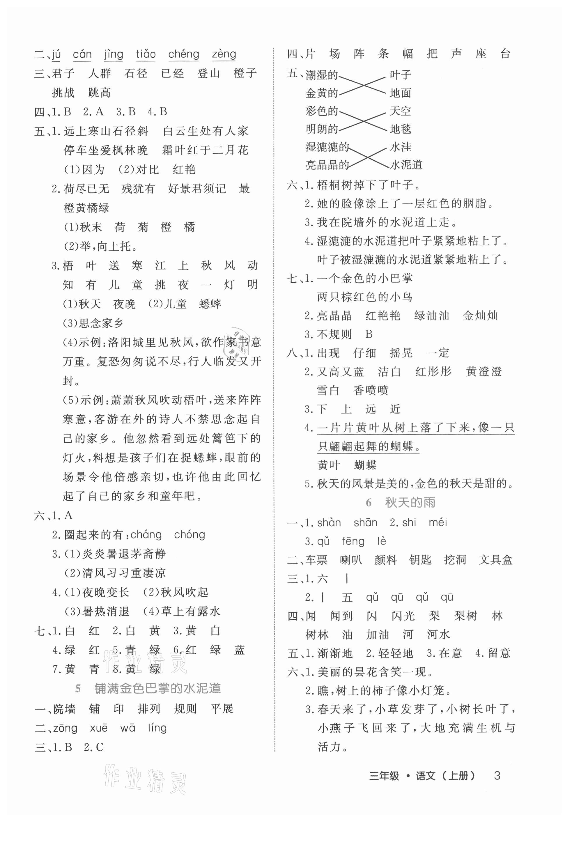 2021年細解巧練三年級語文上冊人教版 參考答案第3頁