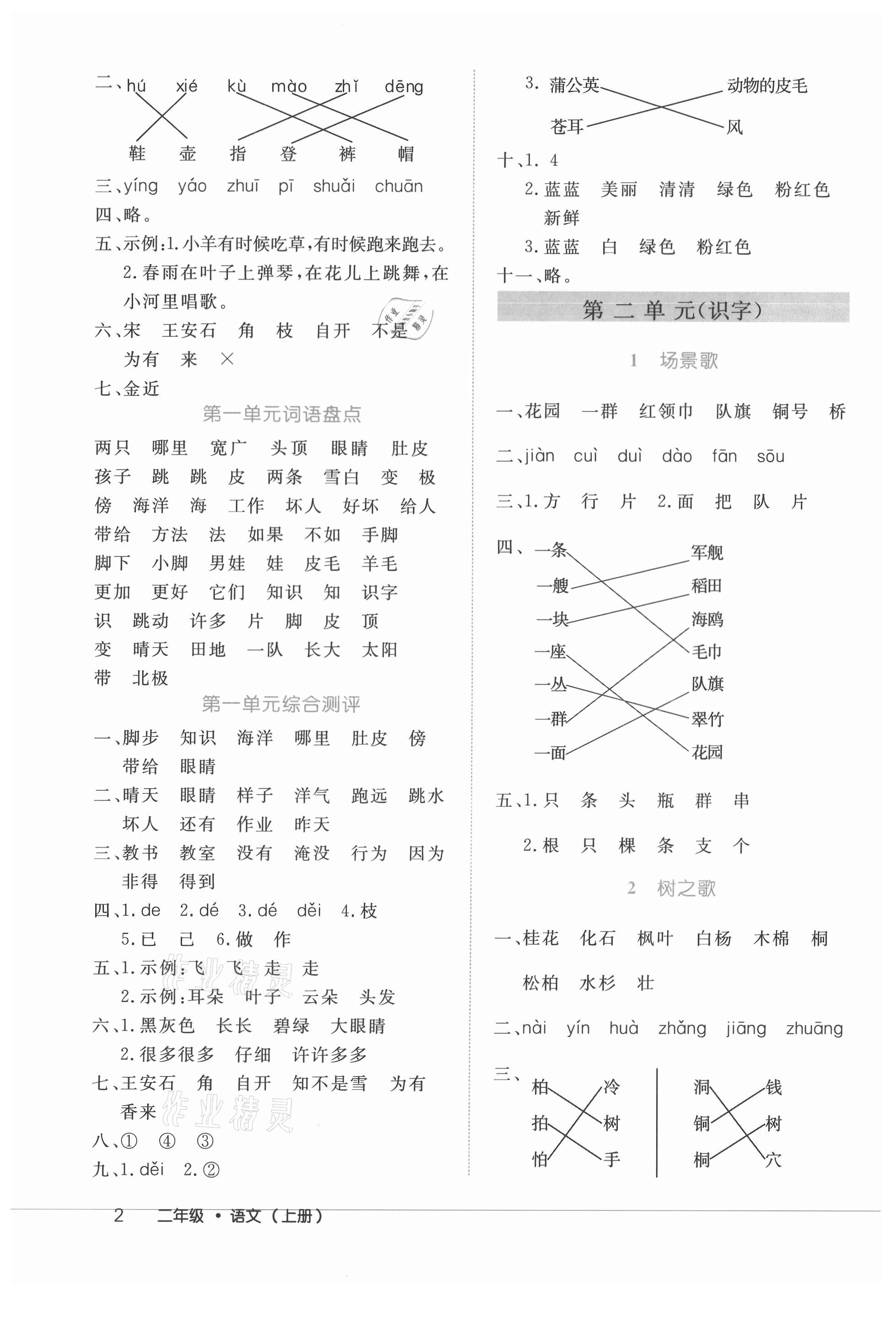 2021年细解巧练二年级语文上册人教版 参考答案第2页