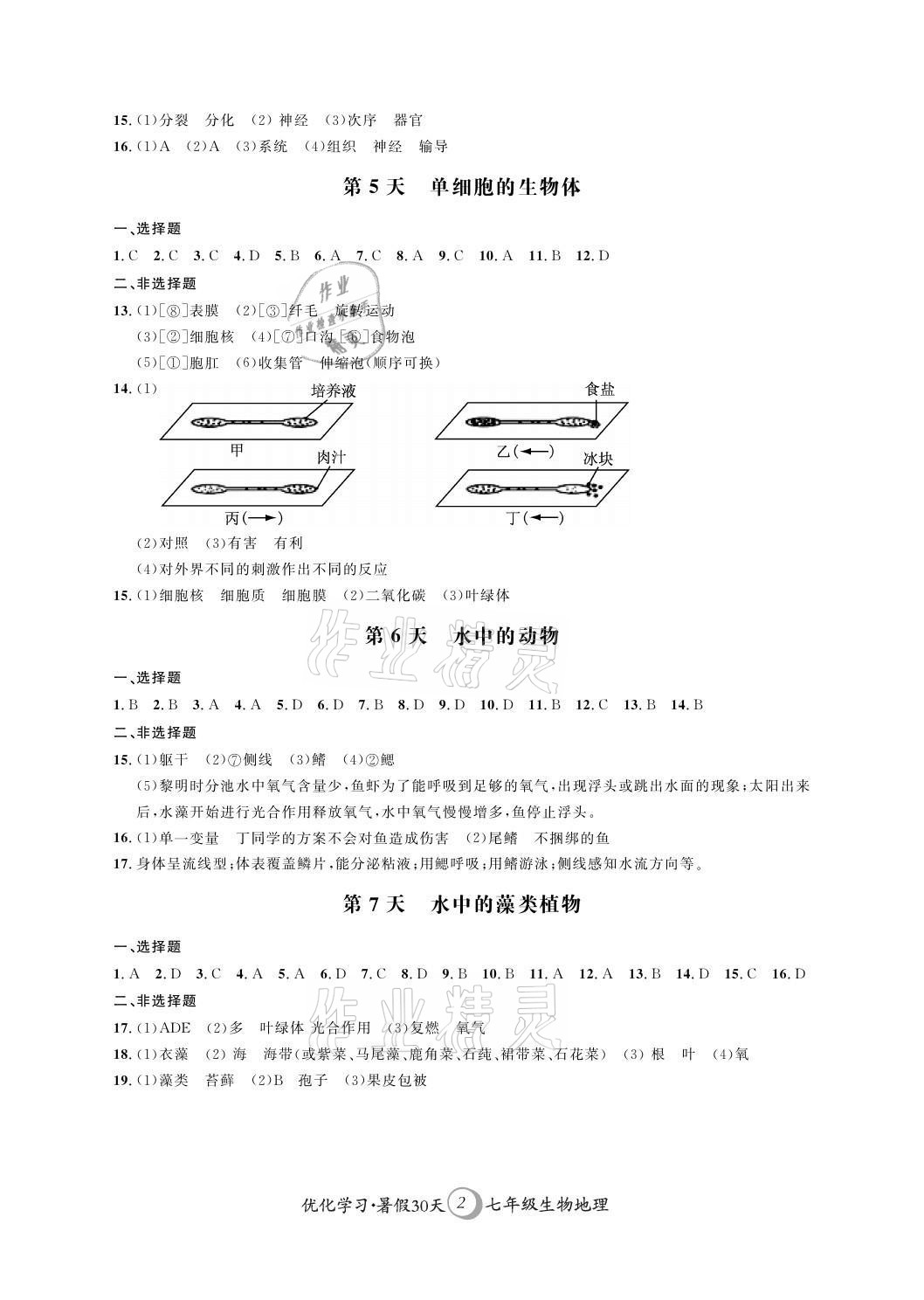 2021年優化學習暑假30天七年級生物地理江蘇專版河海大學出版社 參考答案第2頁
