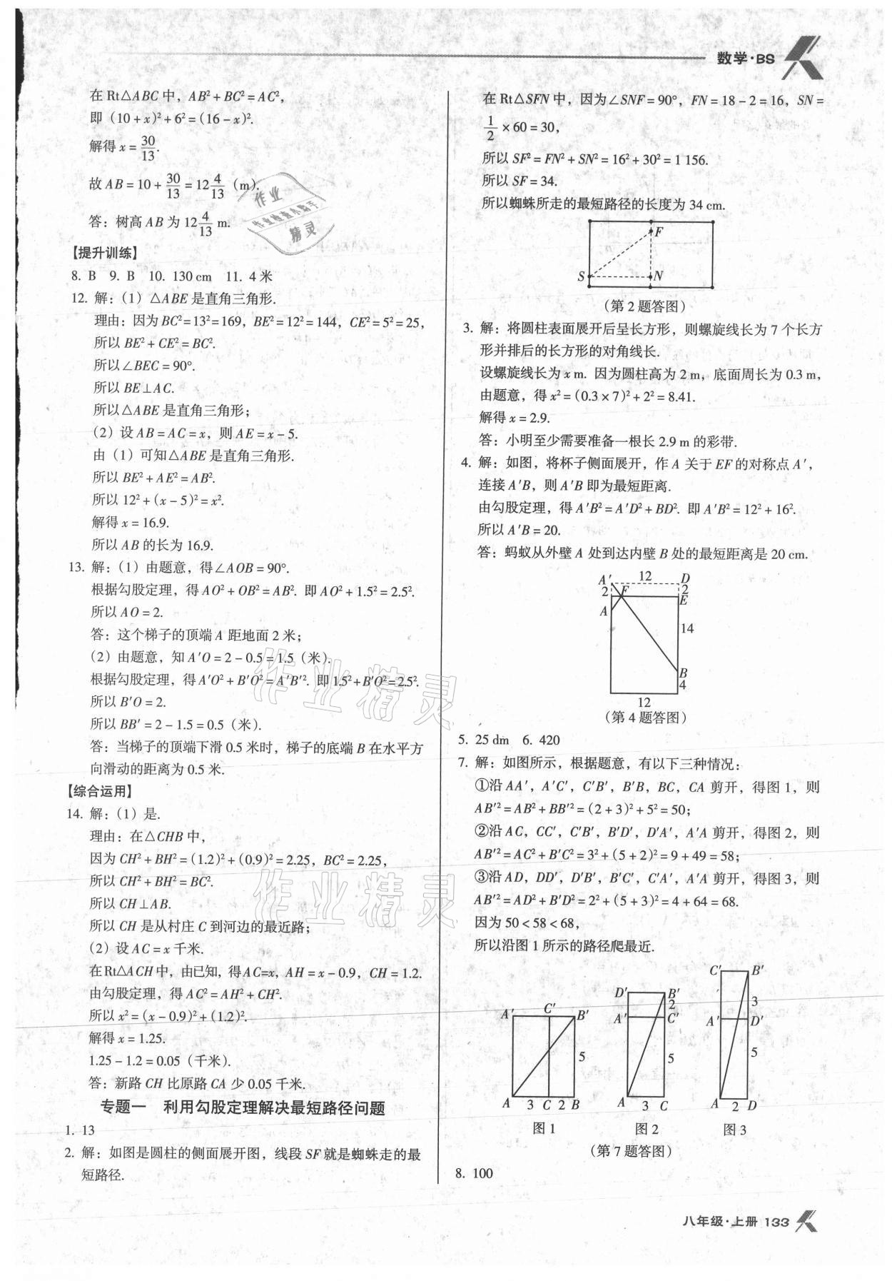 2021年全優(yōu)點(diǎn)練課計(jì)劃八年級(jí)數(shù)學(xué)上冊北師大版 第3頁