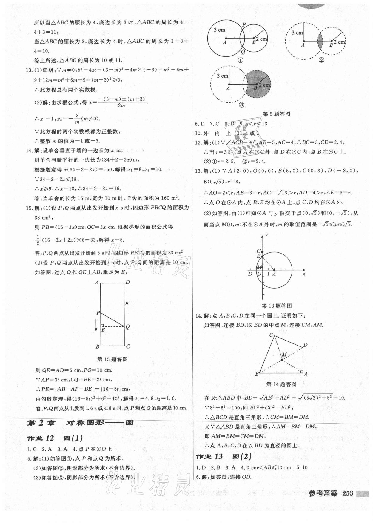 2021年启东中学作业本九年级数学上册苏科版宿迁专版 第7页