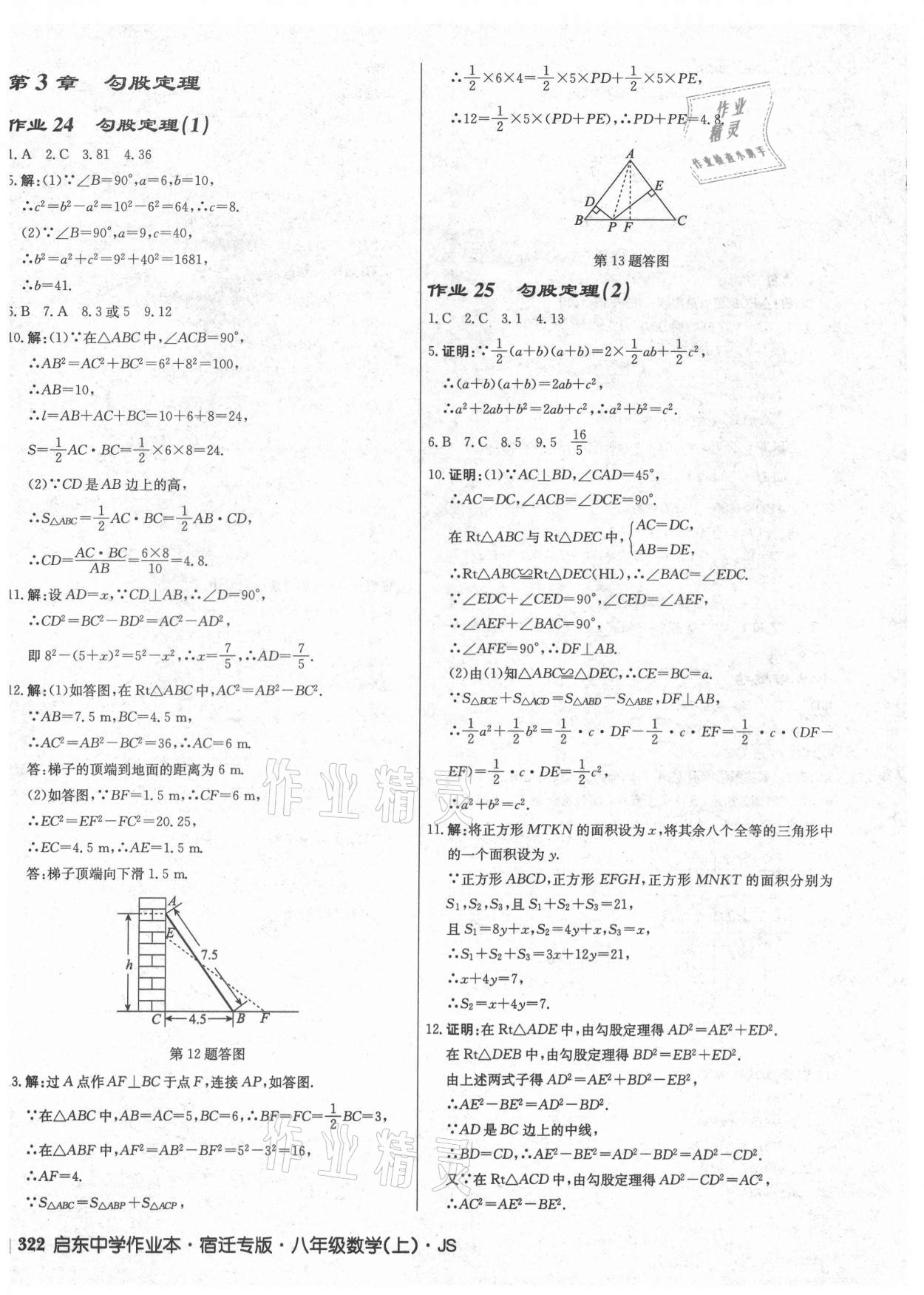 2021年启东中学作业本八年级数学上册苏科版宿迁专版 第20页