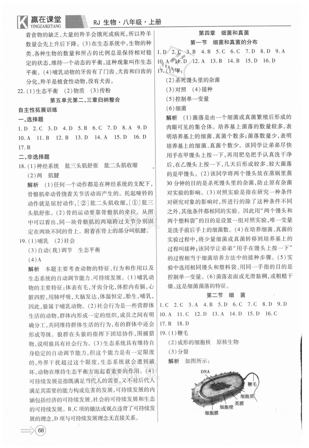 2021年贏在課堂課堂全優(yōu)訓練一本通八年級生物上冊人教版 參考答案第4頁