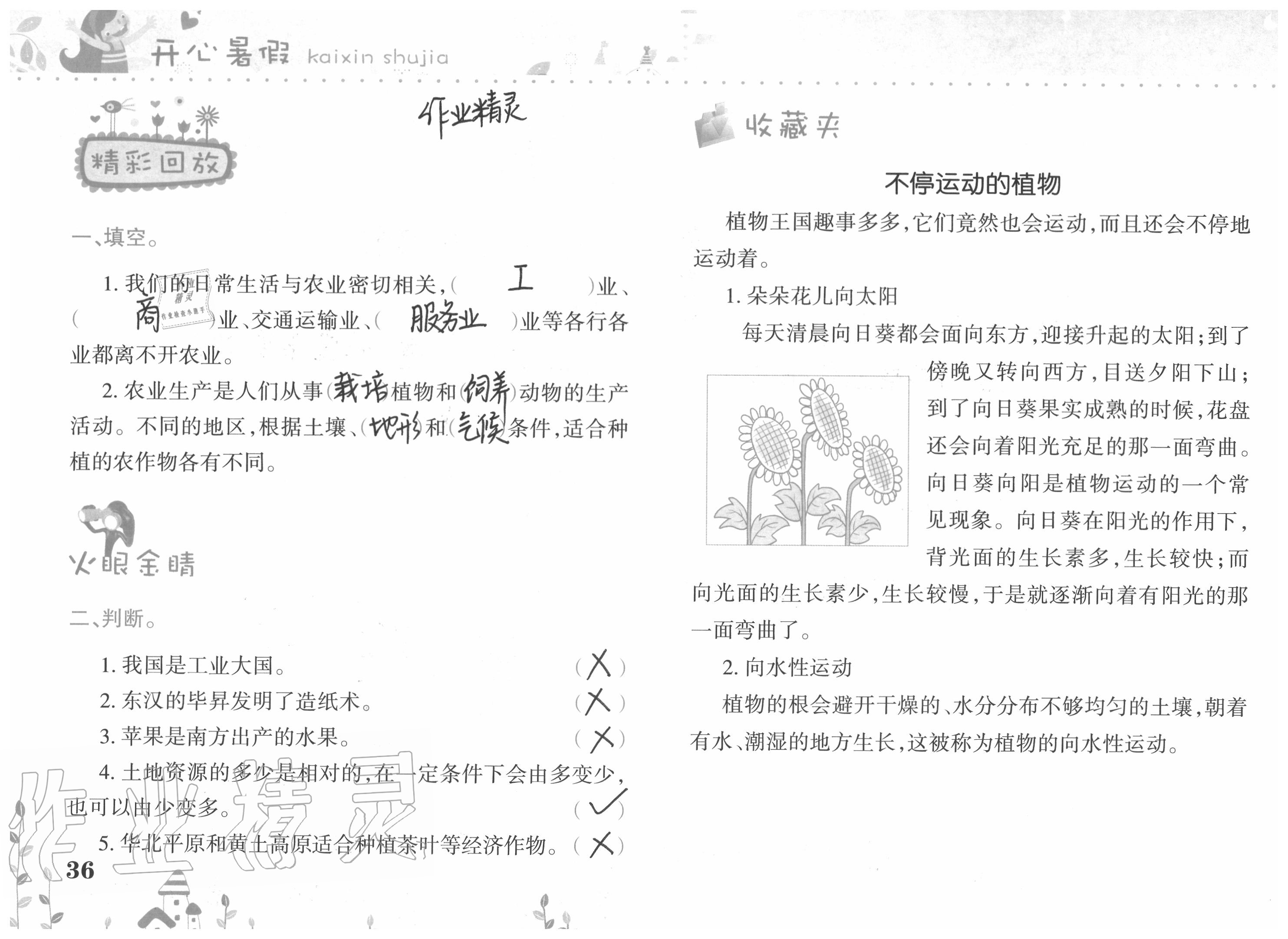 2021年开心暑假五年级西南师范大学出版社 第36页