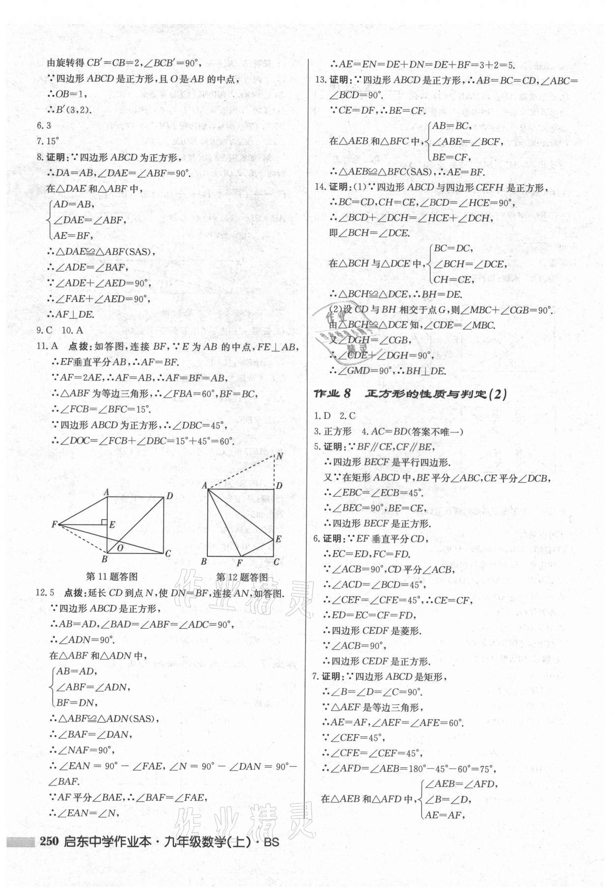 2021年啟東中學(xué)作業(yè)本九年級數(shù)學(xué)上冊北師大版 第8頁