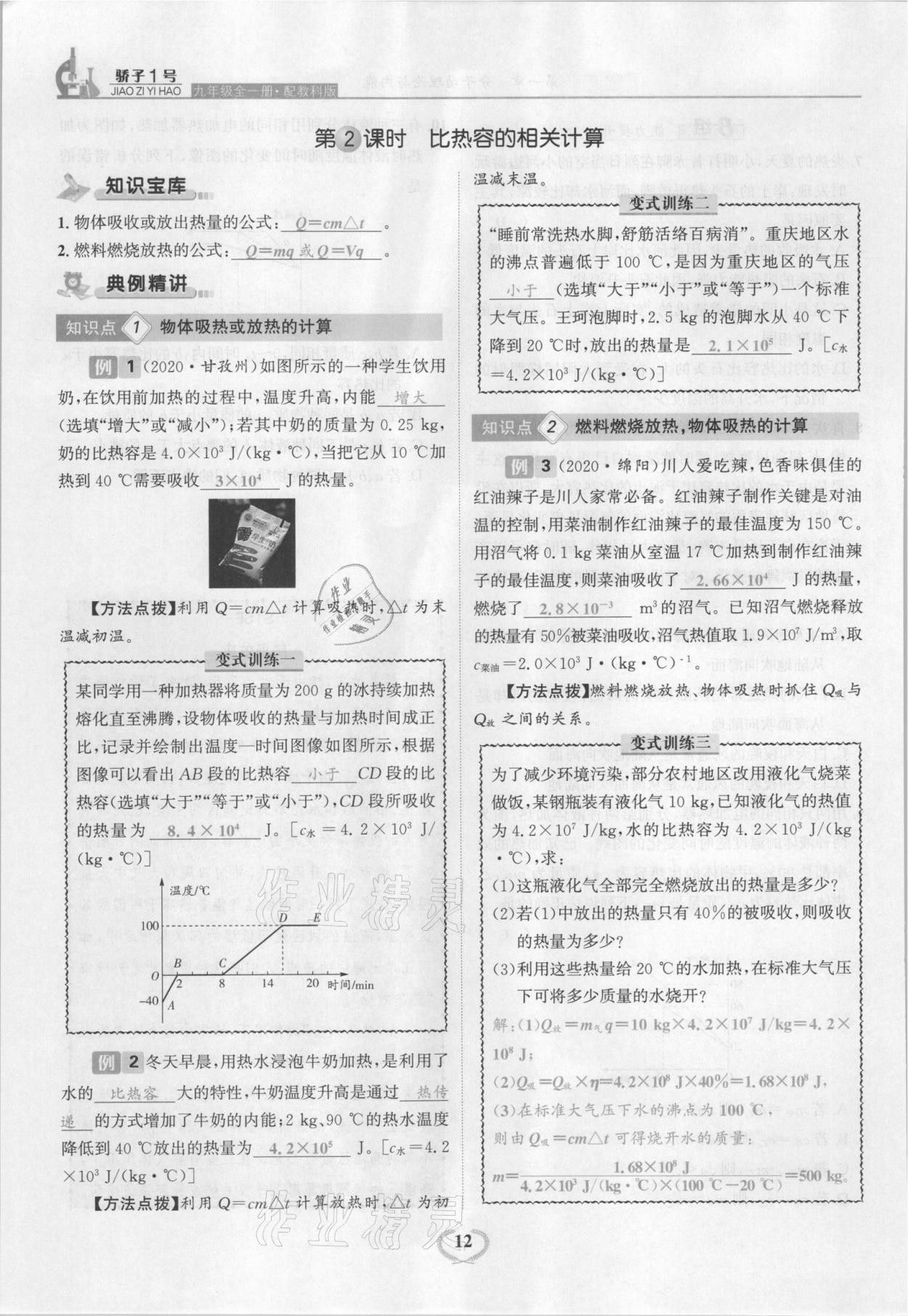 2021年驕子1號(hào)九年級(jí)物理全一冊(cè)教科版 參考答案第12頁(yè)