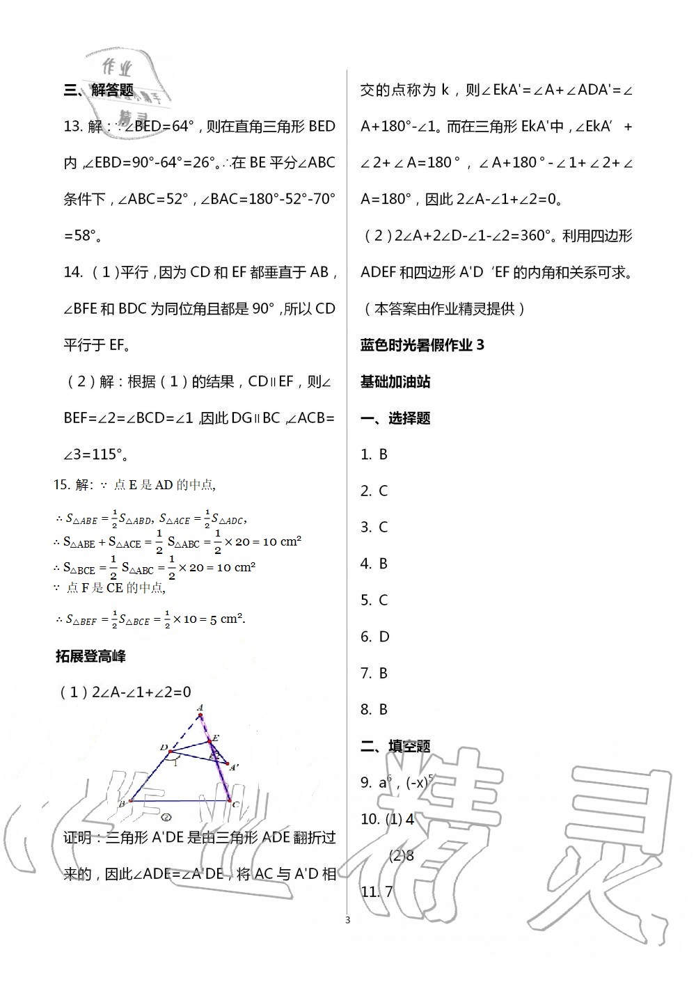 2021年蓝色时光暑假作业七年级合订本江苏凤凰科学技术出版社 参考答案第3页