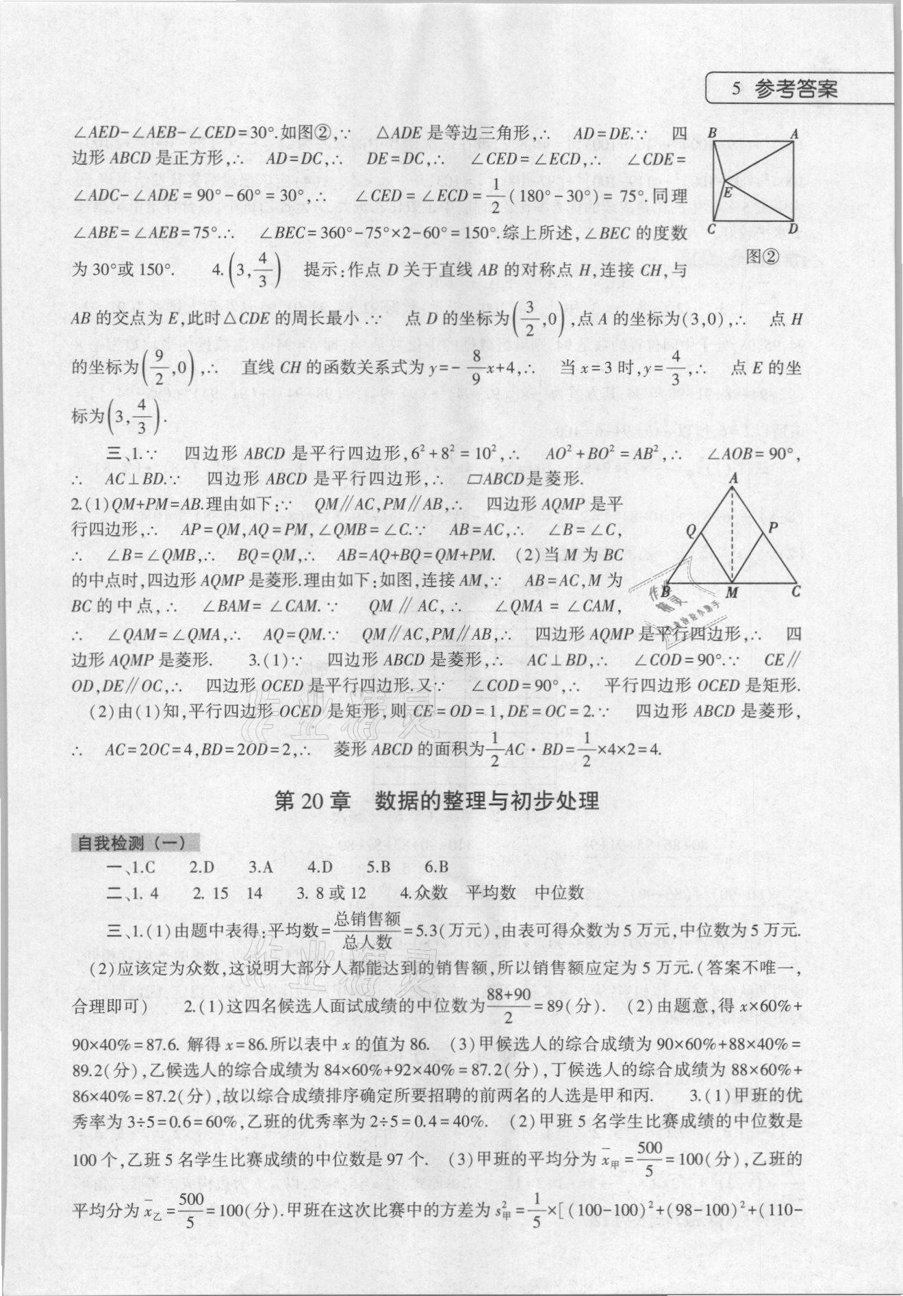 2021年暑假作業(yè)本八年級(jí)數(shù)學(xué)英語(yǔ)物理地理生物大象出版社 第5頁(yè)