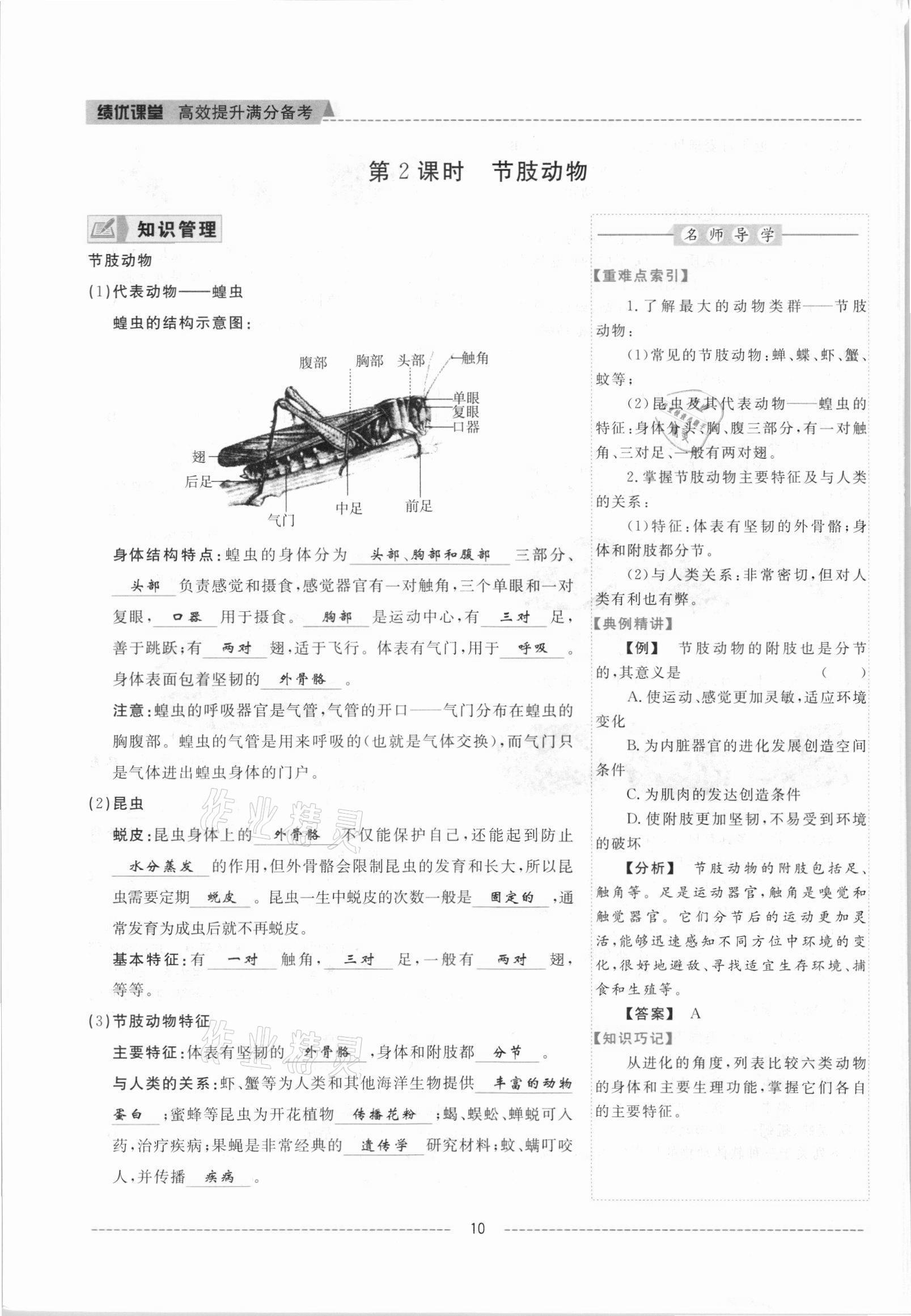 2021年績優(yōu)課堂高效提升滿分備考八年級生物上冊人教版 參考答案第10頁