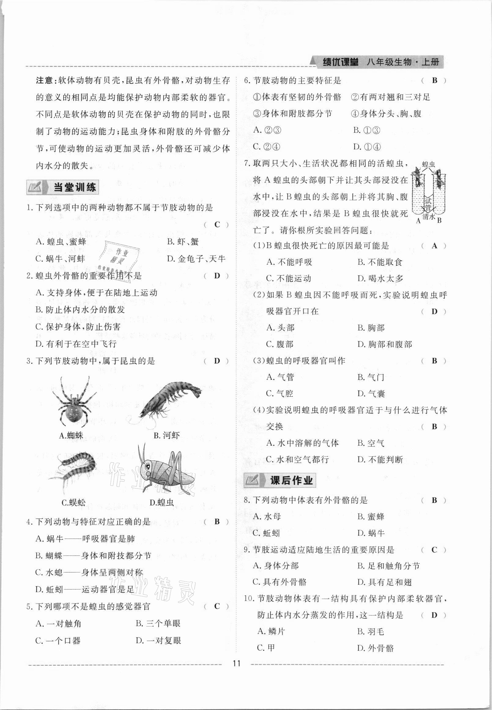 2021年績(jī)優(yōu)課堂高效提升滿分備考八年級(jí)生物上冊(cè)人教版 參考答案第11頁(yè)