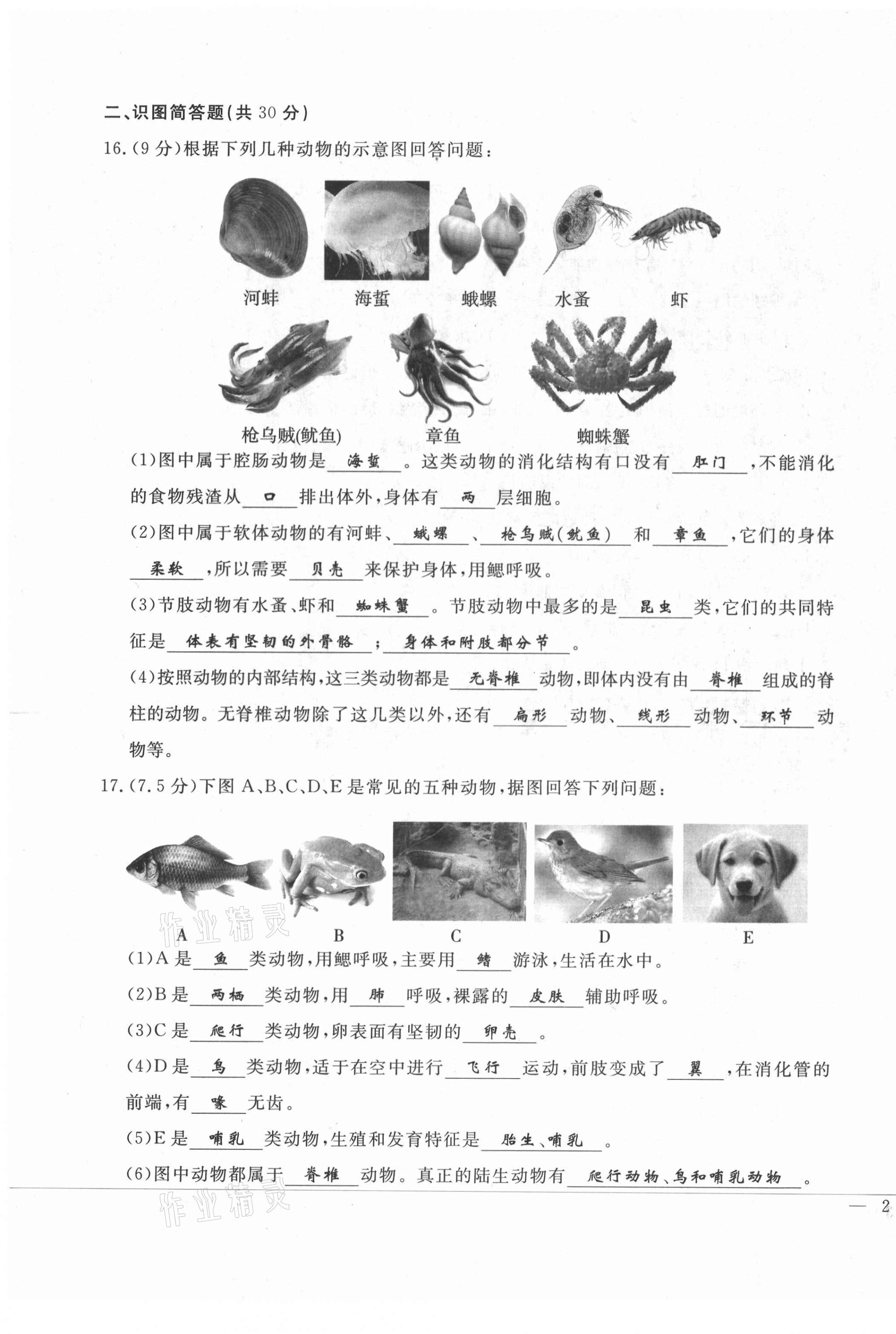 2021年績優(yōu)課堂高效提升滿分備考八年級生物上冊人教版 第3頁