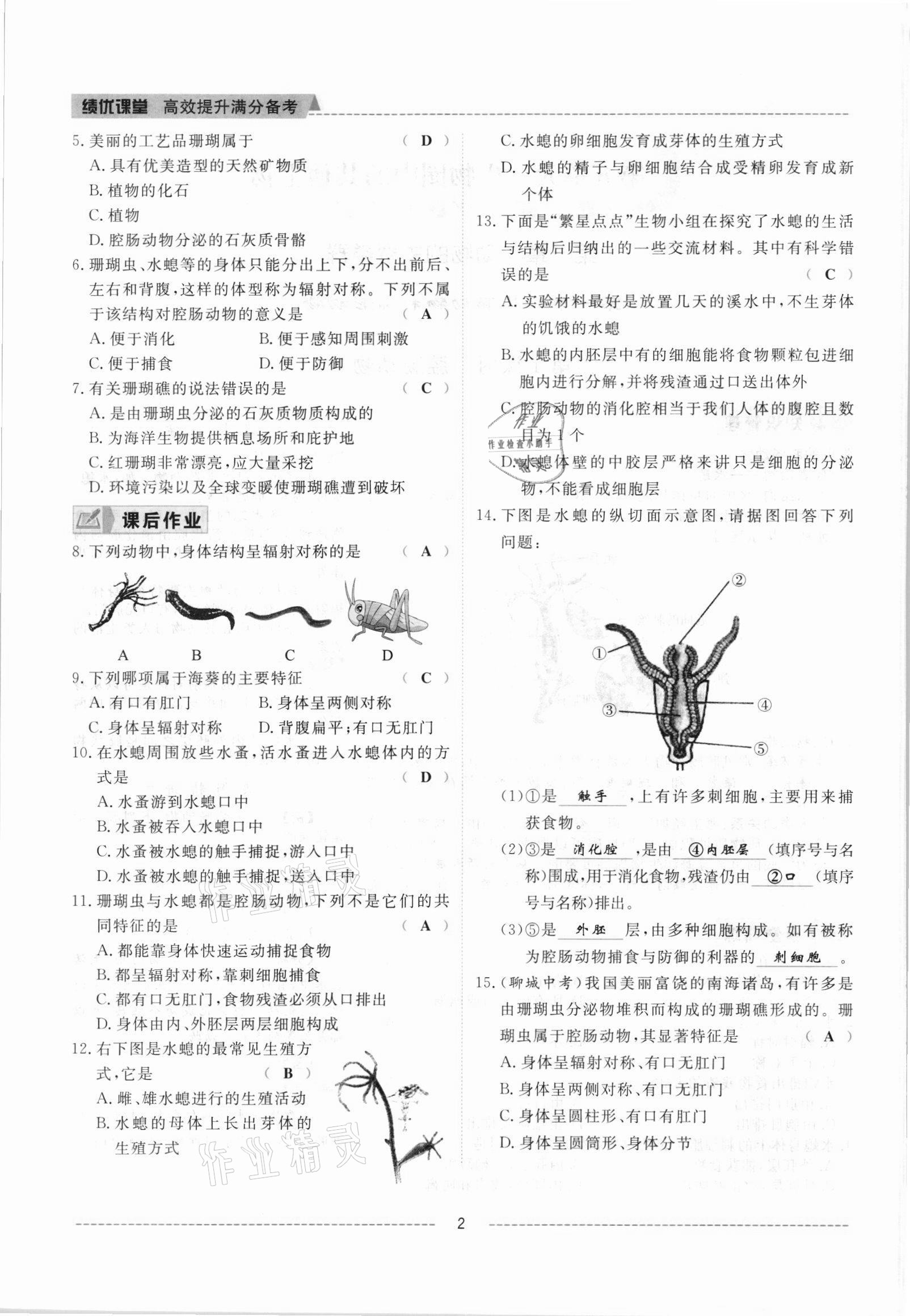 2021年績(jī)優(yōu)課堂高效提升滿分備考八年級(jí)生物上冊(cè)人教版 參考答案第2頁