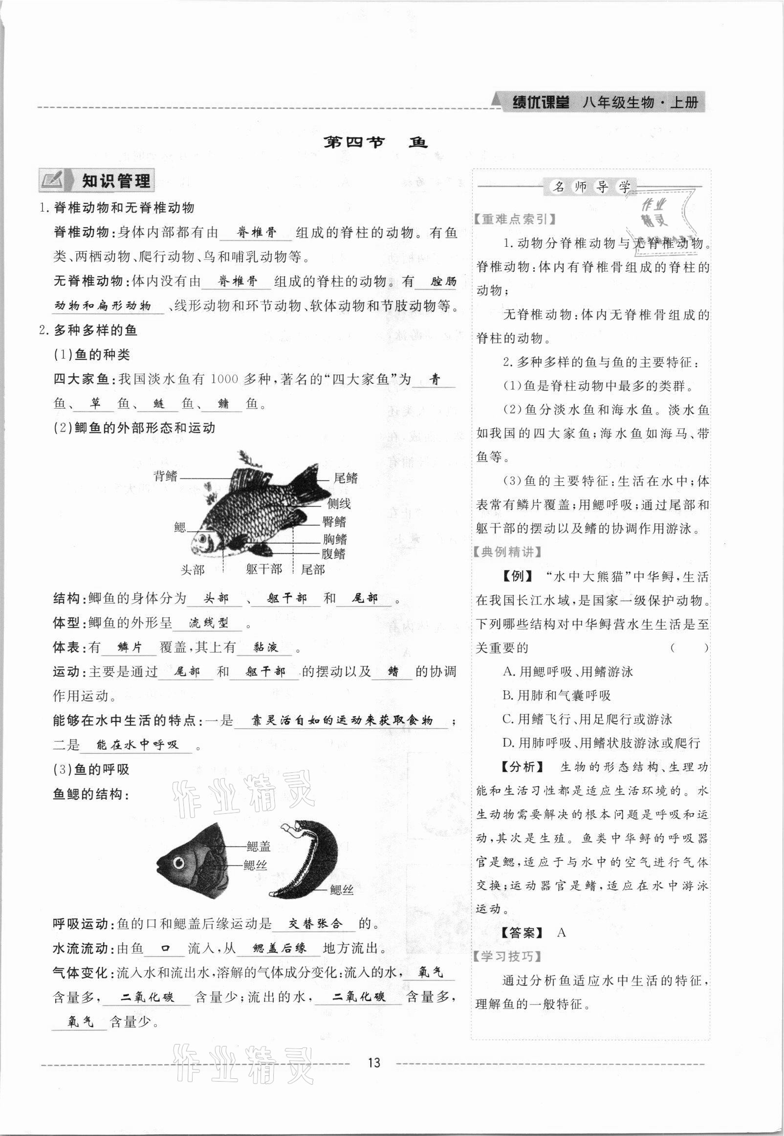 2021年績優(yōu)課堂高效提升滿分備考八年級生物上冊人教版 參考答案第13頁