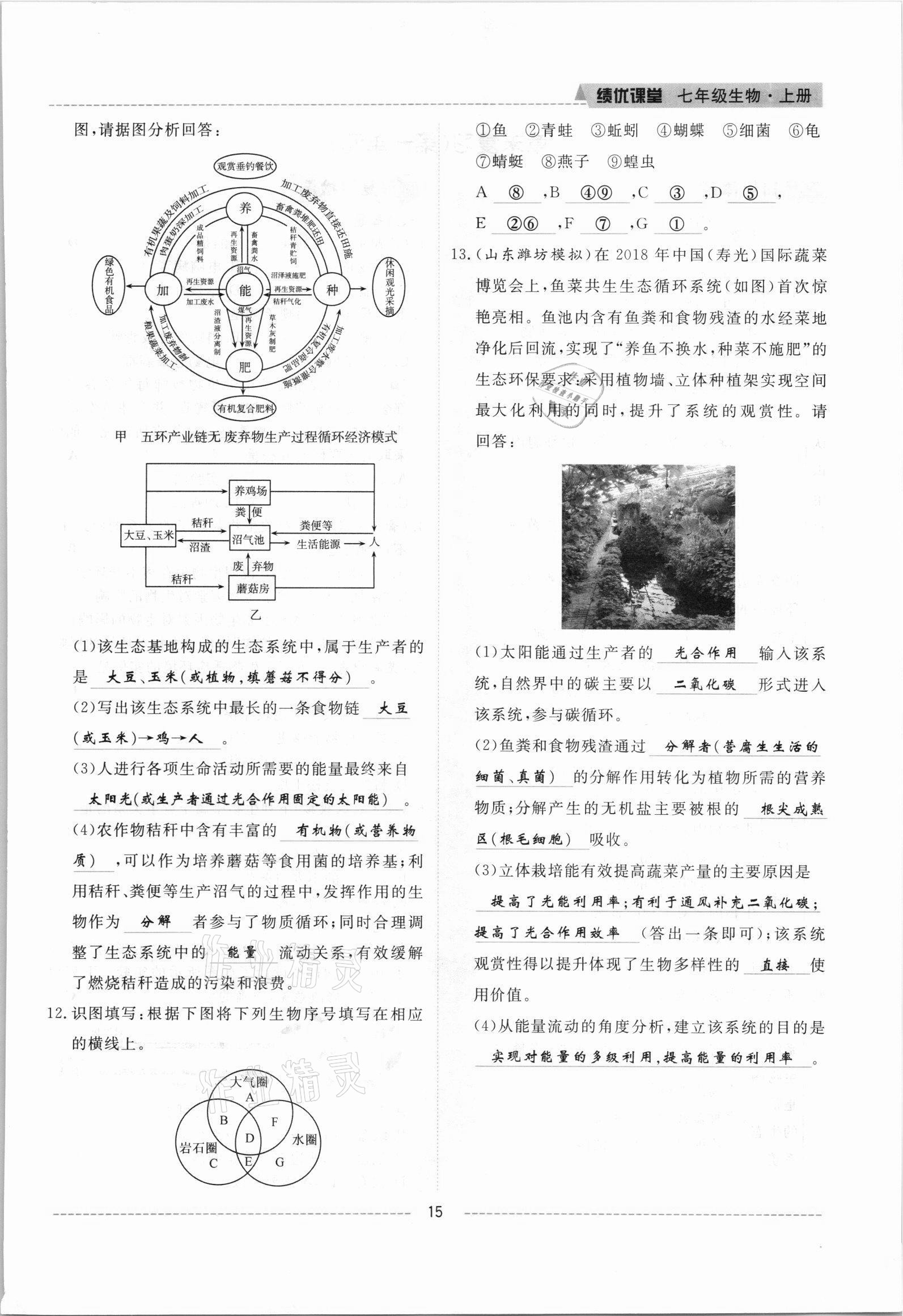 2021年績優(yōu)課堂高效提升滿分備考七年級生物上冊人教版 參考答案第15頁