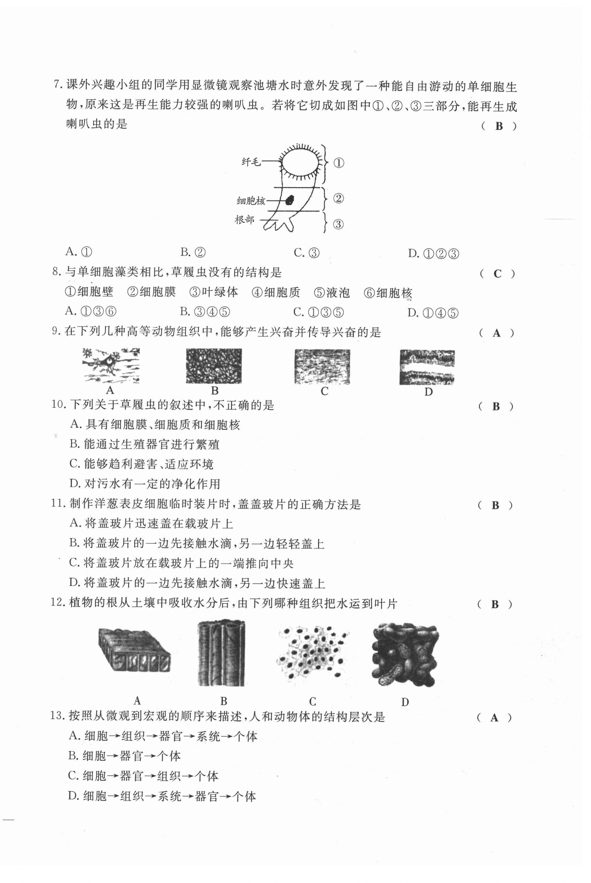 2021年績優(yōu)課堂高效提升滿分備考七年級生物上冊人教版 第14頁