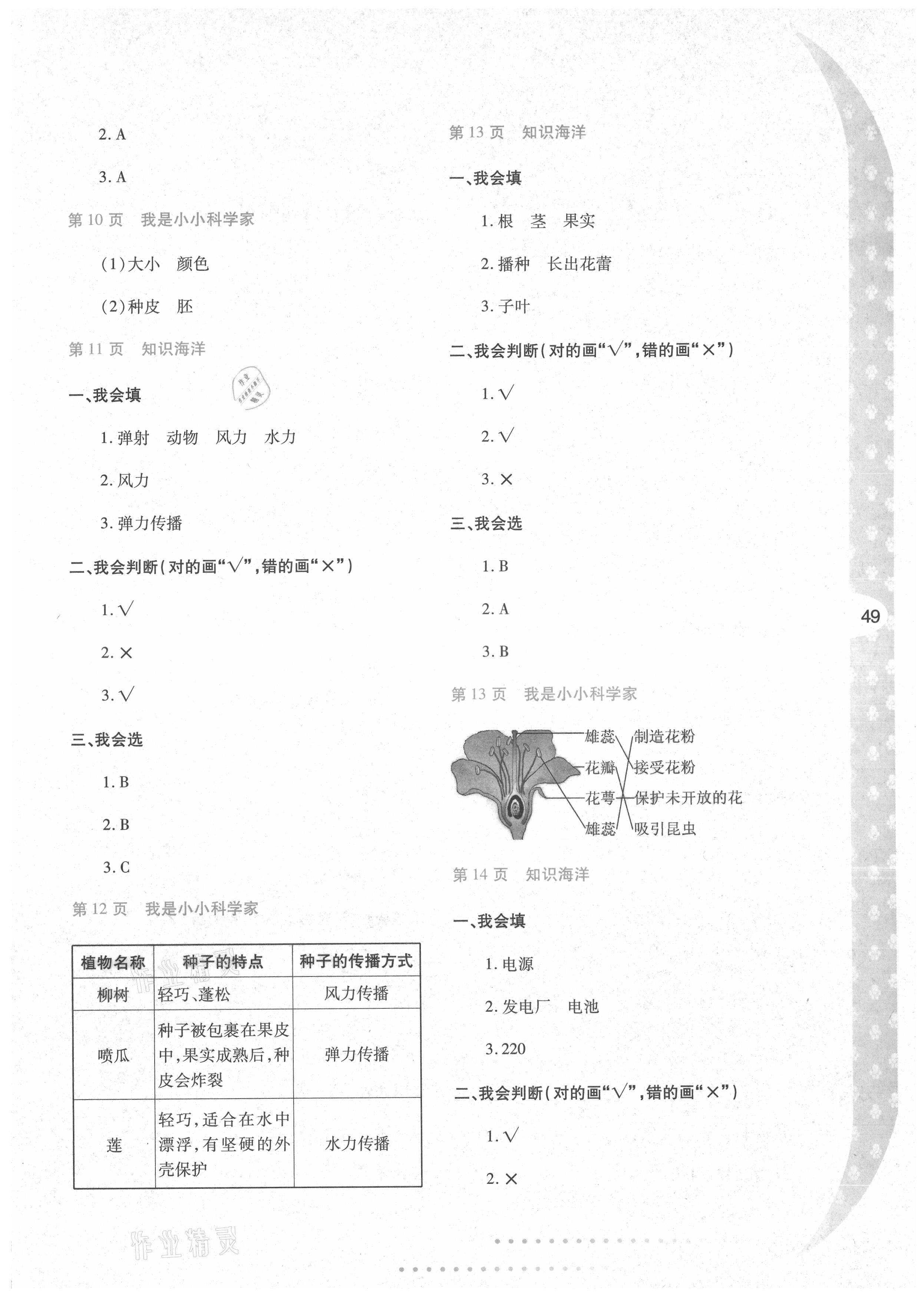 2021年小学暑假作业与生活四年级科学教科版陕西人民教育出版社 第3页