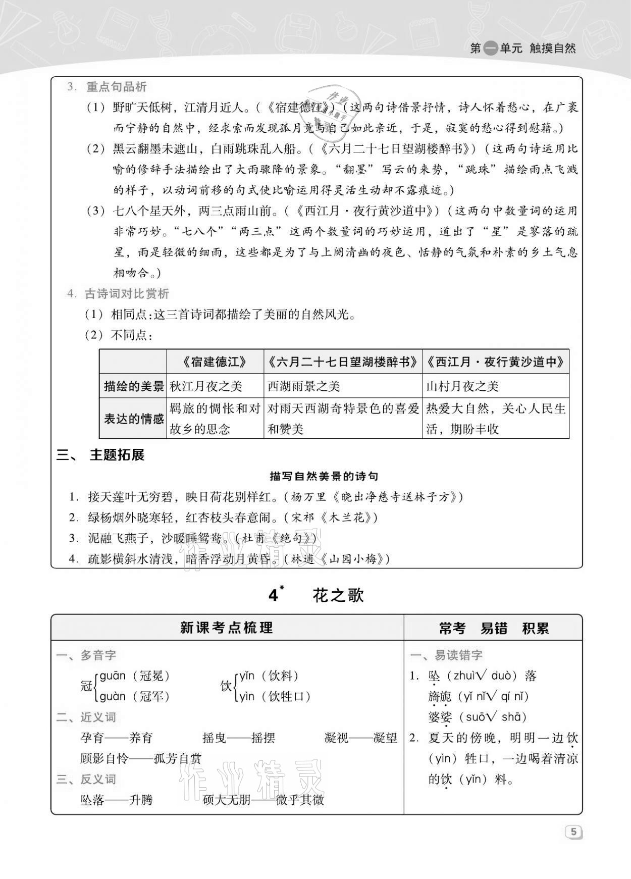 2021年綜合應用創(chuàng)新題典中點六年級語文上冊人教版福建專版 第5頁