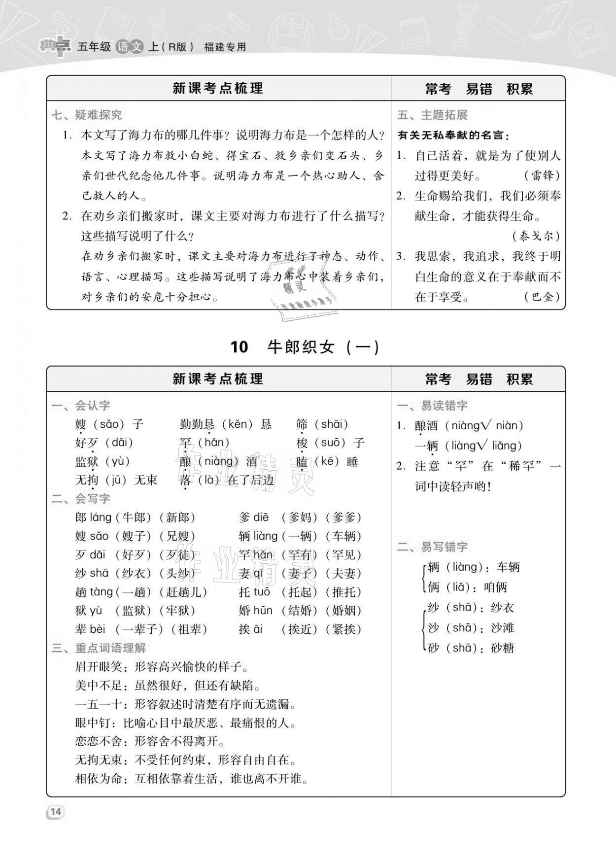 2021年综合应用创新题典中点五年级语文上册人教版福建专版 第13页