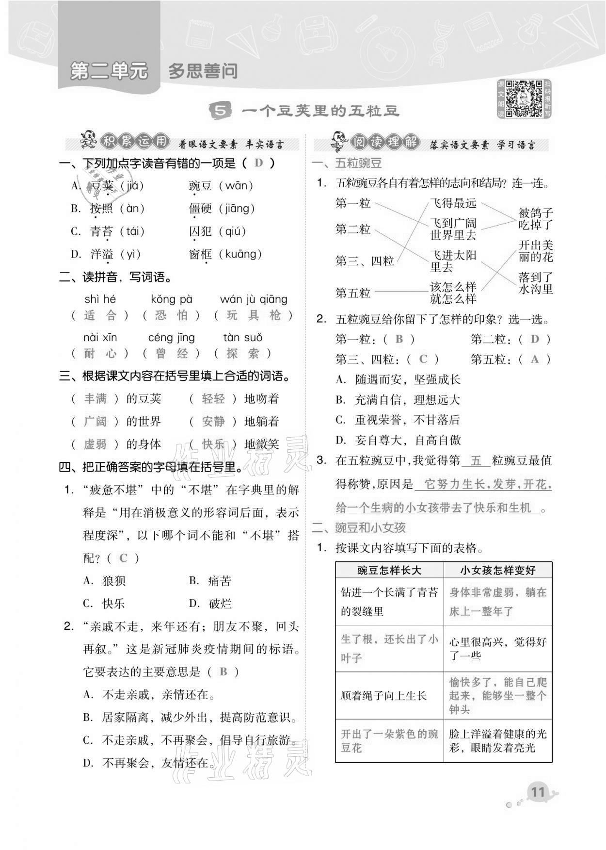 2021年綜合應(yīng)用創(chuàng)新題典中點(diǎn)四年級(jí)語文上冊(cè)人教版福建專版 第11頁