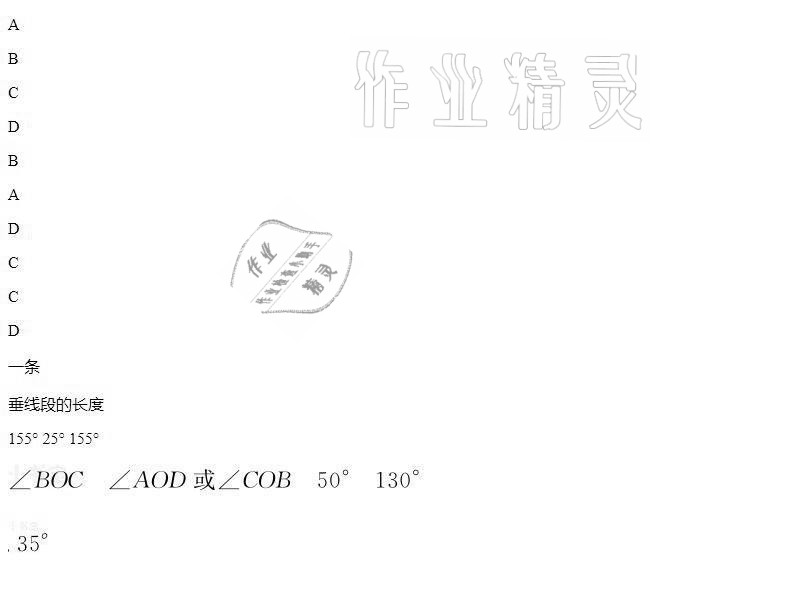 2021年百年学典快乐假期暑假作业七年级北师大版 参考答案第20页